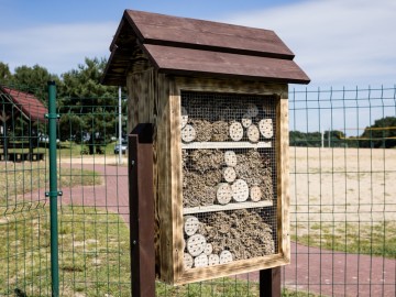 Letnie działania w Przedborskim Parku Krajobrazowym 2025, 